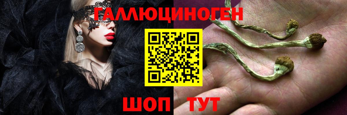 Галлюциногенные грибы Cubensis Каменск-Уральский